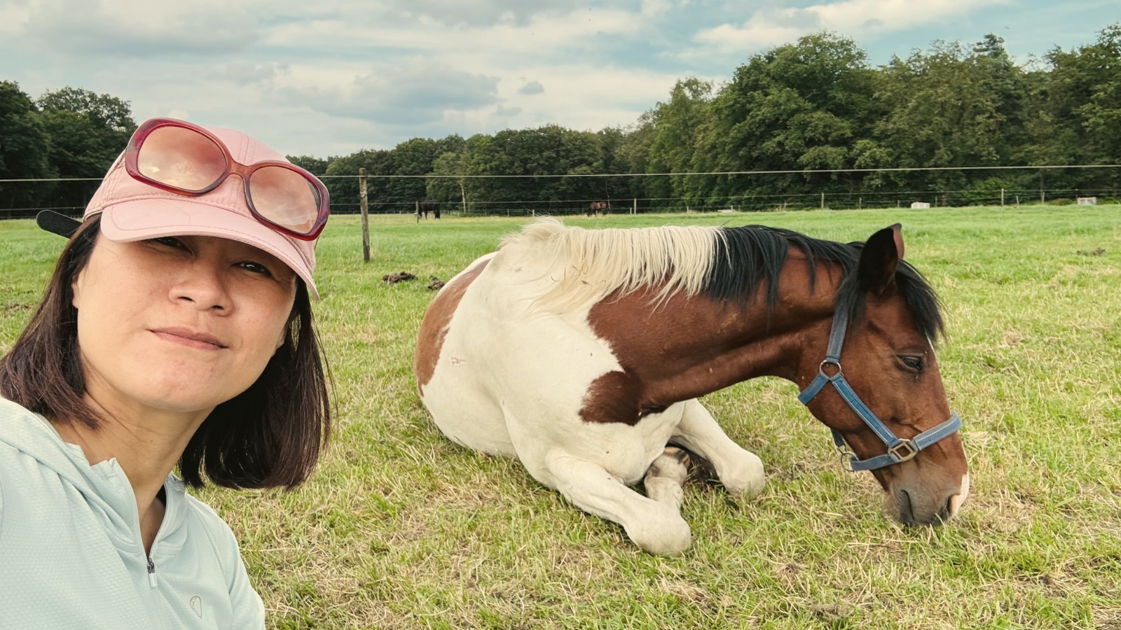 Aling beside a resting horse in a pasture — the horse lying calmly at ease in her presence